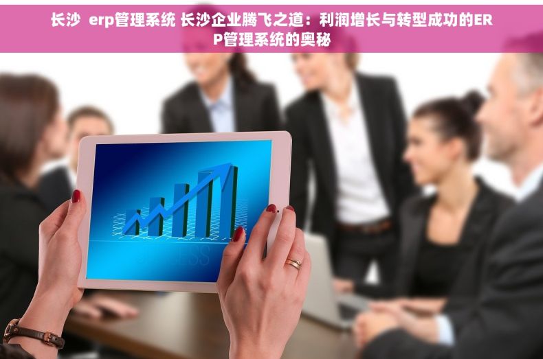 长沙  erp管理系统 长沙企业腾飞之道：利润增长与转型成功的ERP管理系统的奥秘