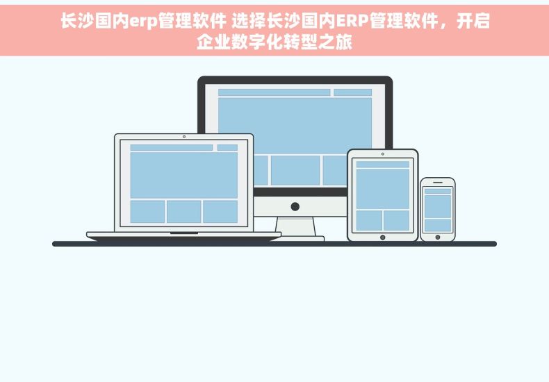 长沙国内erp管理软件 选择长沙国内ERP管理软件，开启企业数字化转型之旅