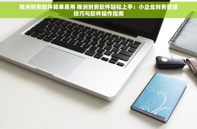 株洲财务软件简单易用 株洲财务软件轻松上手：小企业财务管理技巧与软件操作指南
