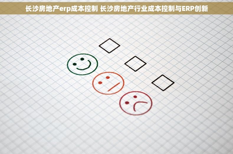 长沙房地产erp成本控制 长沙房地产行业成本控制与ERP创新