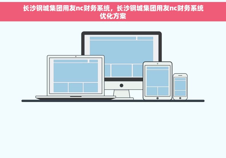 长沙钢城集团用友nc财务系统，长沙钢城集团用友nc财务系统优化方案