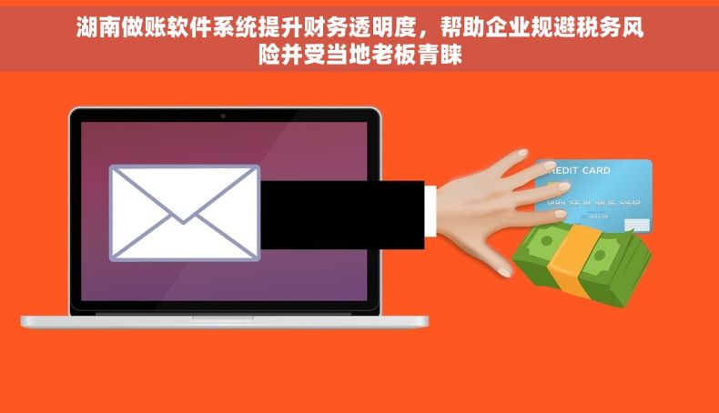 湖南做账软件系统提升财务透明度，帮助企业规避税务风险并受当地老板青睐
