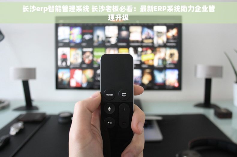 长沙erp智能管理系统 长沙老板必看：最新ERP系统助力企业管理升级