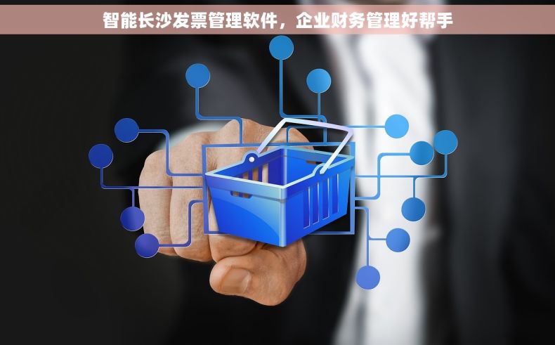 智能长沙发票管理软件，企业财务管理好帮手