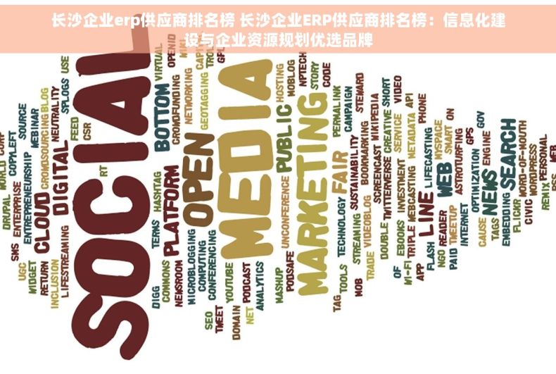 长沙企业erp供应商排名榜 长沙企业ERP供应商排名榜：信息化建设与企业资源规划优选品牌
