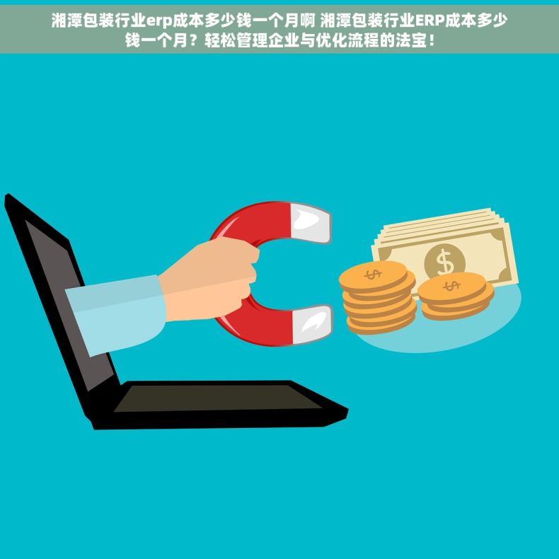 湘潭包装行业erp成本多少钱一个月啊 湘潭包装行业ERP成本多少钱一个月？轻松管理企业与优化流程的法宝！