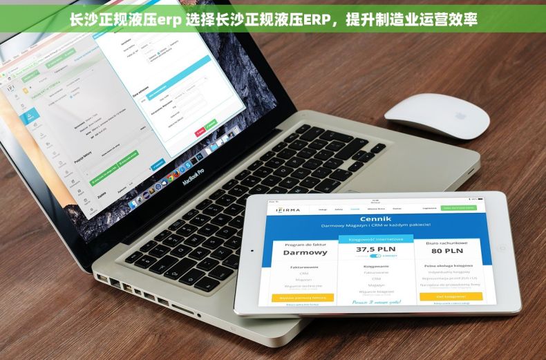 长沙正规液压erp 选择长沙正规液压ERP，提升制造业运营效率