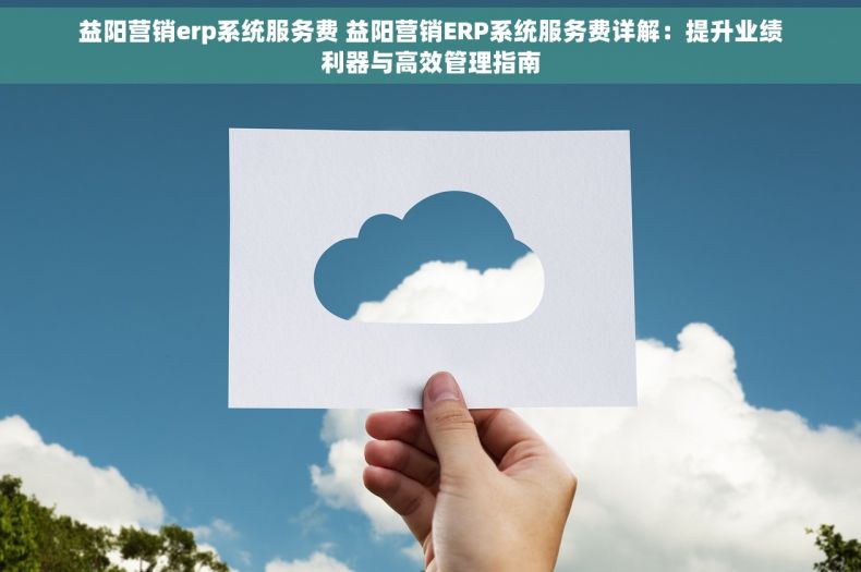 益阳营销erp系统服务费 益阳营销ERP系统服务费详解：提升业绩利器与高效管理指南