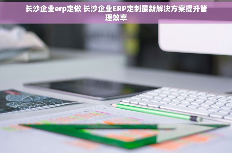长沙企业erp定做 长沙企业ERP定制最新解决方案提升管理效率