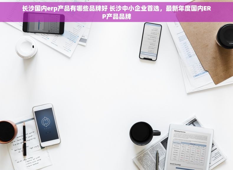 长沙国内erp产品有哪些品牌好 长沙中小企业首选，最新年度国内ERP产品品牌