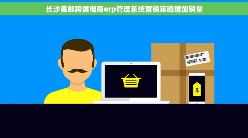 长沙高邮跨境电商erp管理系统营销策略增加销量