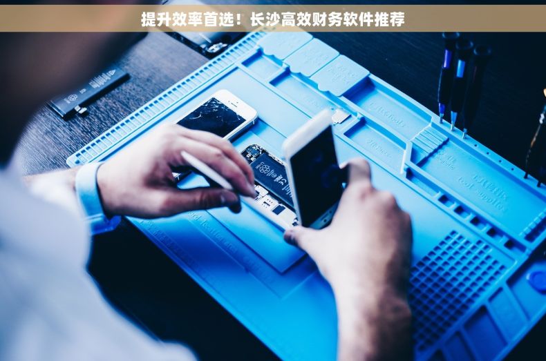 提升效率首选！长沙高效财务软件推荐