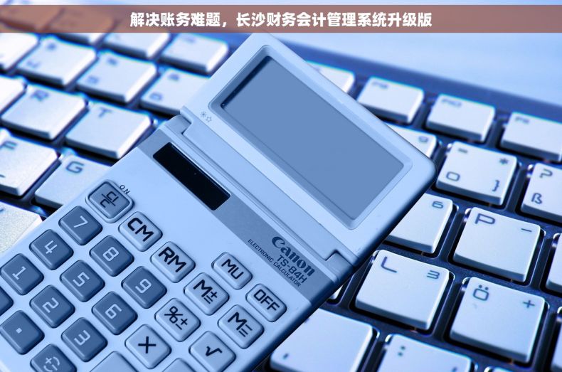 解决账务难题，长沙财务会计管理系统升级版