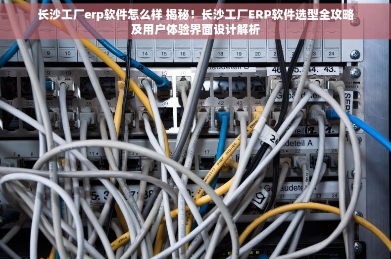 长沙工厂erp软件怎么样 揭秘！长沙工厂ERP软件选型全攻略及用户体验界面设计解析