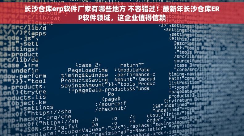 长沙仓库erp软件厂家有哪些地方 不容错过！最新年长沙仓库ERP软件领域，这企业值得信赖