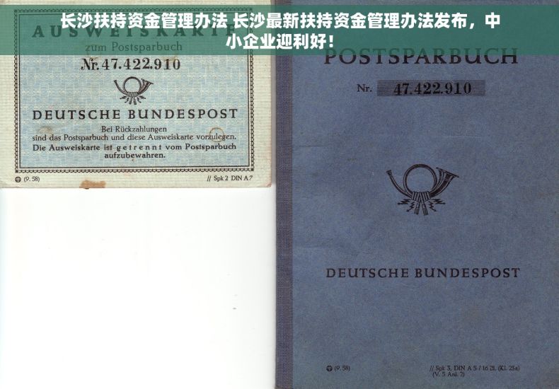 长沙扶持资金管理办法 长沙最新扶持资金管理办法发布，中小企业迎利好！