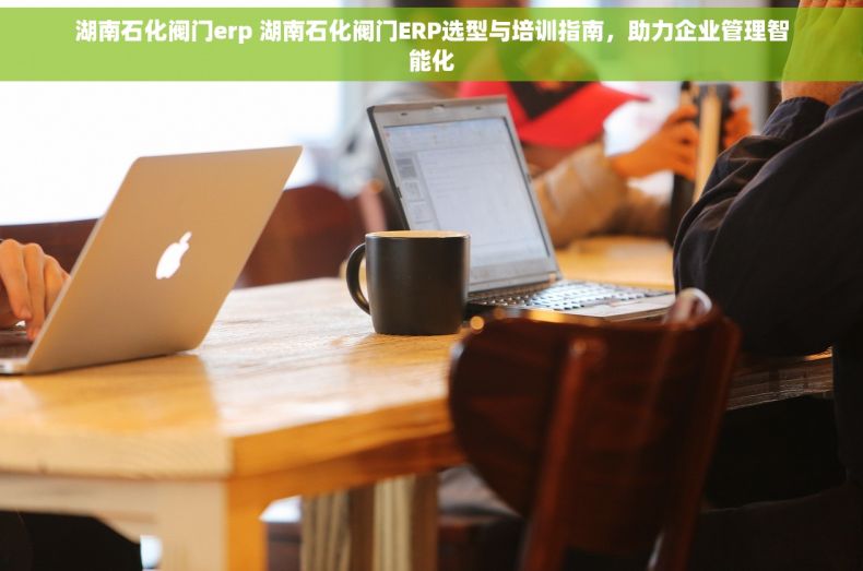 湖南石化阀门erp 湖南石化阀门ERP选型与培训指南，助力企业管理智能化