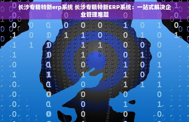 长沙专精特新erp系统 长沙专精特新ERP系统：一站式解决企业管理难题