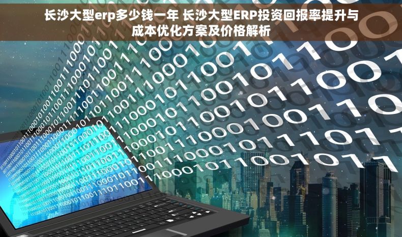 长沙大型erp多少钱一年 长沙大型ERP投资回报率提升与成本优化方案及价格解析