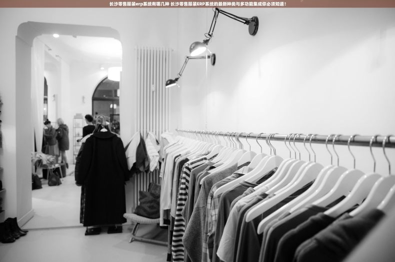 长沙零售服装erp系统有哪几种 长沙零售服装ERP系统的最新种类与多功能集成你必须知道！
