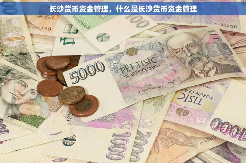 长沙货币资金管理，什么是长沙货币资金管理