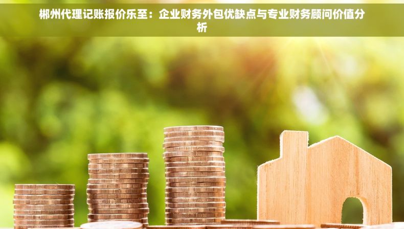 郴州代理记账报价乐至：企业财务外包优缺点与专业财务顾问价值分析