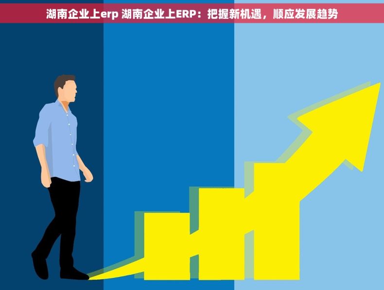 湖南企业上erp 湖南企业上ERP：把握新机遇，顺应发展趋势
