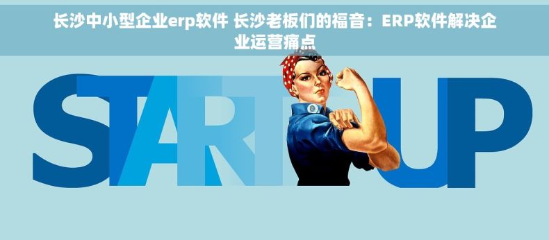 长沙中小型企业erp软件 长沙老板们的福音：ERP软件解决企业运营痛点