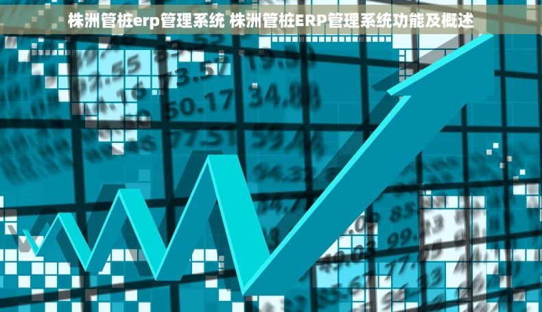 株洲管桩erp管理系统 株洲管桩ERP管理系统功能及概述