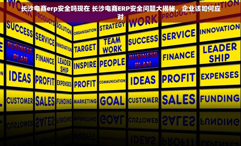 长沙电商erp安全吗现在 长沙电商ERP安全问题大揭秘，企业该如何应对