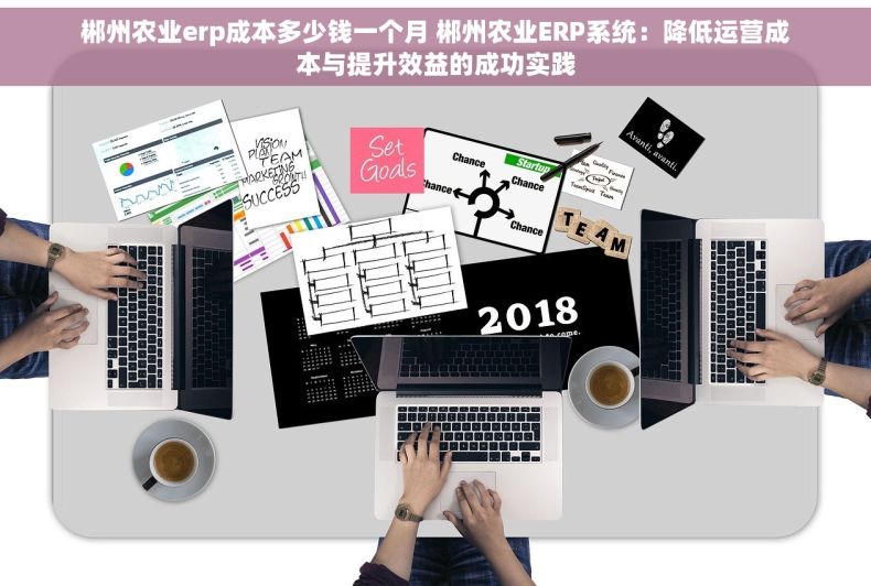 郴州农业erp成本多少钱一个月 郴州农业ERP系统：降低运营成本与提升效益的成功实践