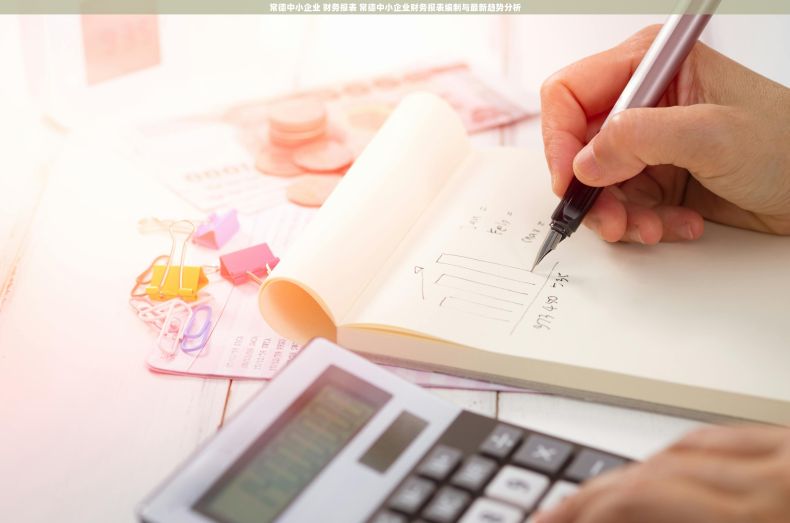 常德中小企业 财务报表 常德中小企业财务报表编制与最新趋势分析