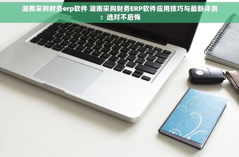 湖南采购财务erp软件 湖南采购财务ERP软件应用技巧与最新评测：选对不后悔