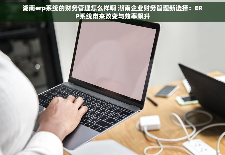 湖南erp系统的财务管理怎么样啊 湖南企业财务管理新选择：ERP系统带来改变与效率飙升