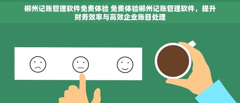 郴州记账管理软件免费体验 免费体验郴州记账管理软件，提升财务效率与高效企业账目处理