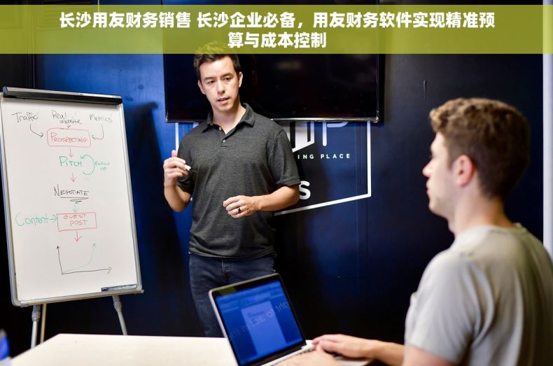 长沙用友财务销售 长沙企业必备，用友财务软件实现精准预算与成本控制