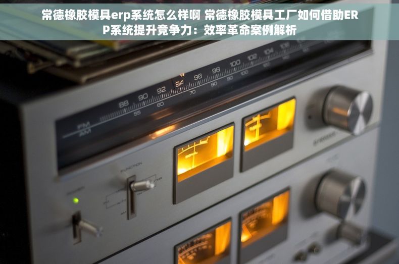 常德橡胶模具erp系统怎么样啊 常德橡胶模具工厂如何借助ERP系统提升竞争力：效率革命案例解析