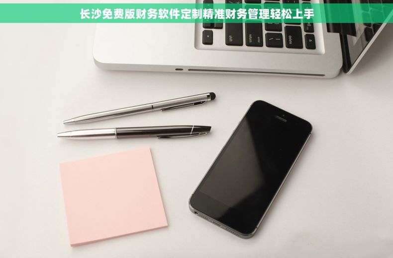 长沙免费版财务软件定制精准财务管理轻松上手