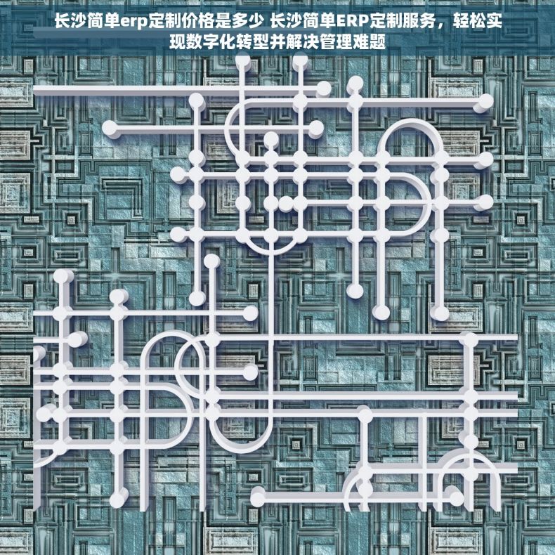 长沙简单erp定制价格是多少 长沙简单ERP定制服务，轻松实现数字化转型并解决管理难题