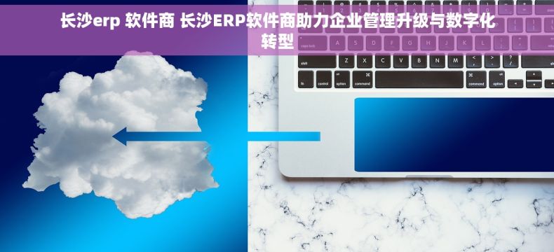 长沙erp 软件商 长沙ERP软件商助力企业管理升级与数字化转型