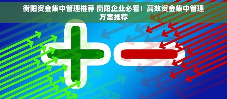 衡阳资金集中管理推荐 衡阳企业必看！高效资金集中管理方案推荐