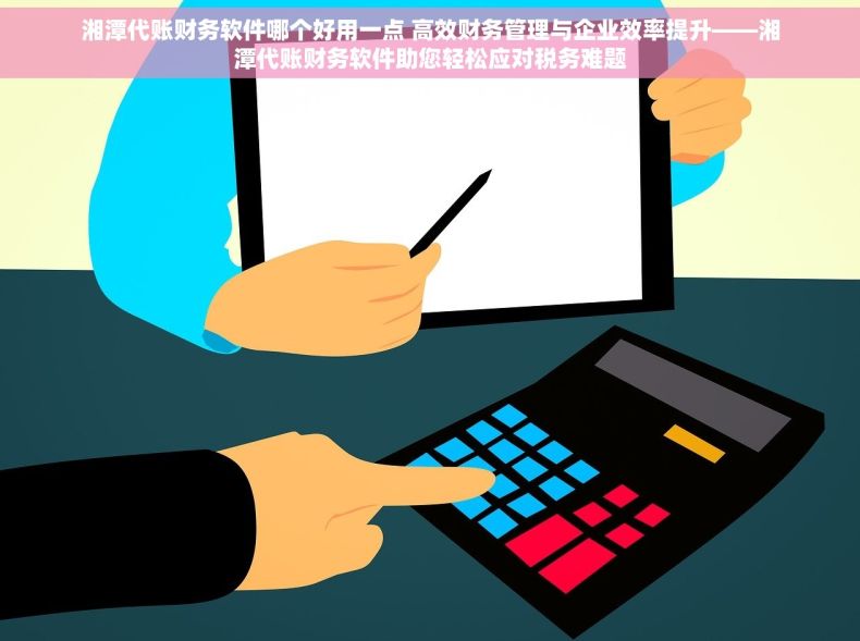 湘潭代账财务软件哪个好用一点 高效财务管理与企业效率提升——湘潭代账财务软件助您轻松应对税务难题
