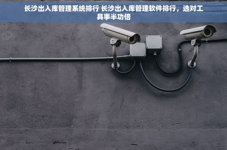 长沙出入库管理系统排行 长沙出入库管理软件排行，选对工具事半功倍