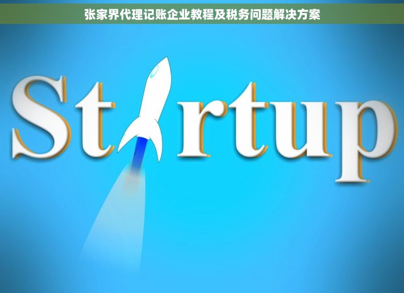 张家界代理记账企业教程及税务问题解决方案