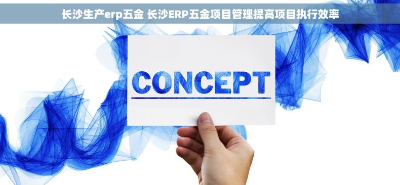 长沙生产erp五金 长沙ERP五金项目管理提高项目执行效率