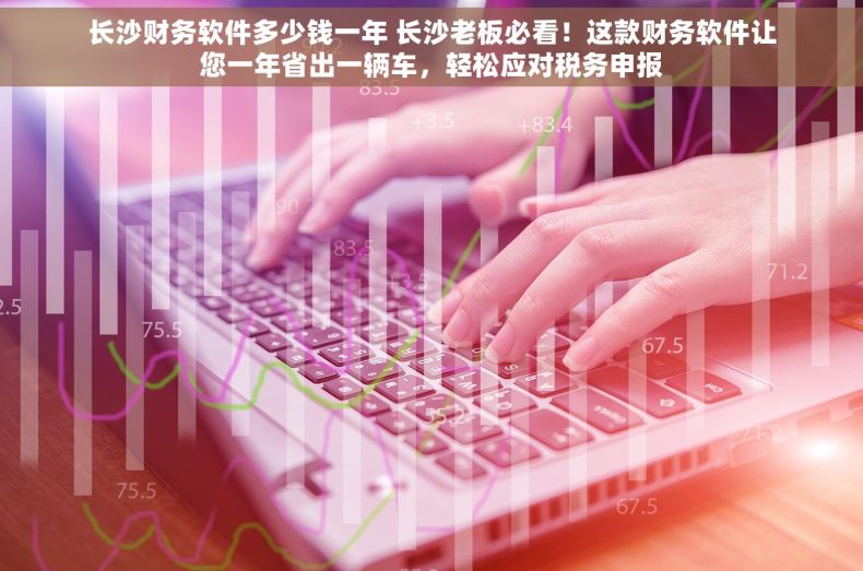 长沙财务软件多少钱一年 长沙老板必看！这款财务软件让您一年省出一辆车，轻松应对税务申报