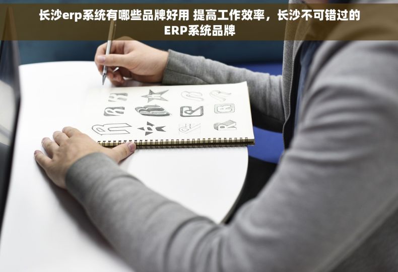 长沙erp系统有哪些品牌好用 提高工作效率，长沙不可错过的ERP系统品牌