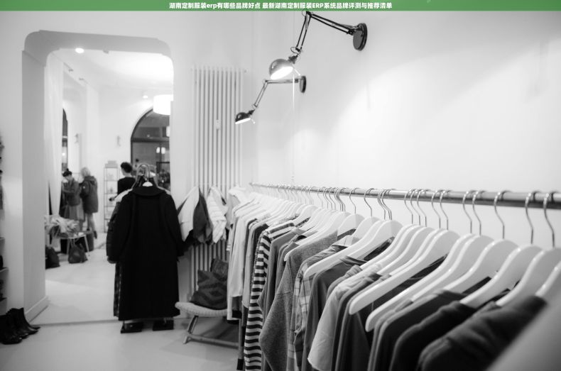 湖南定制服装erp有哪些品牌好点 最新湖南定制服装ERP系统品牌评测与推荐清单