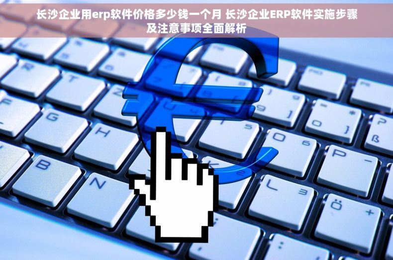 长沙企业用erp软件价格多少钱一个月 长沙企业ERP软件实施步骤及注意事项全面解析