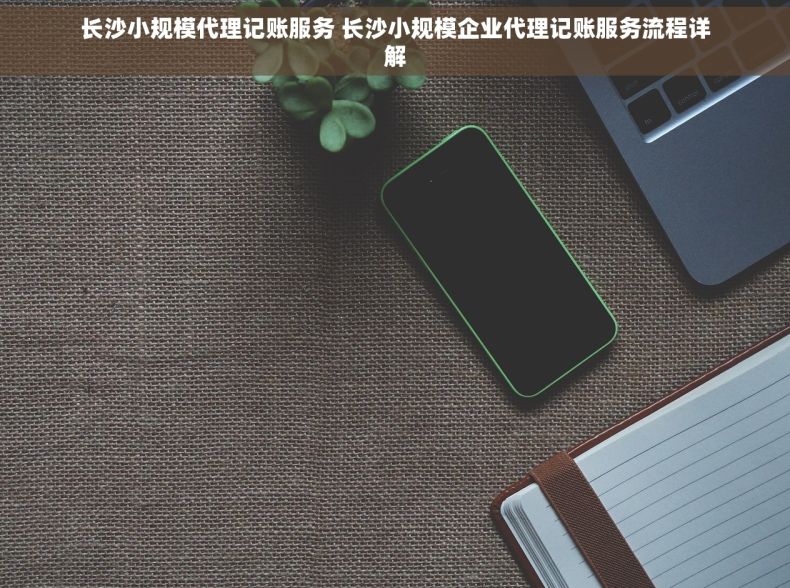 长沙小规模代理记账服务 长沙小规模企业代理记账服务流程详解